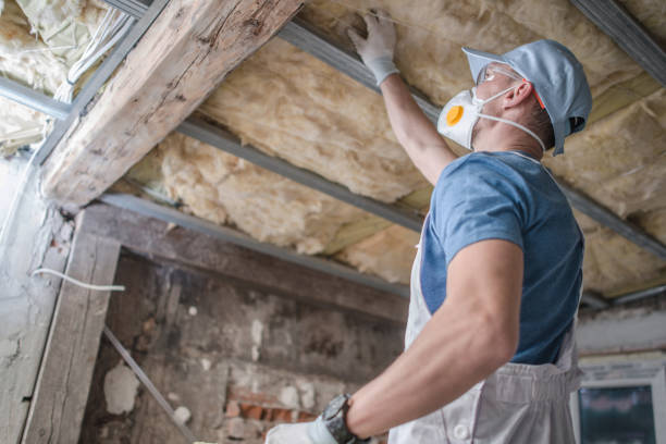 Best Specialized Insulation Services in Milbank, SD